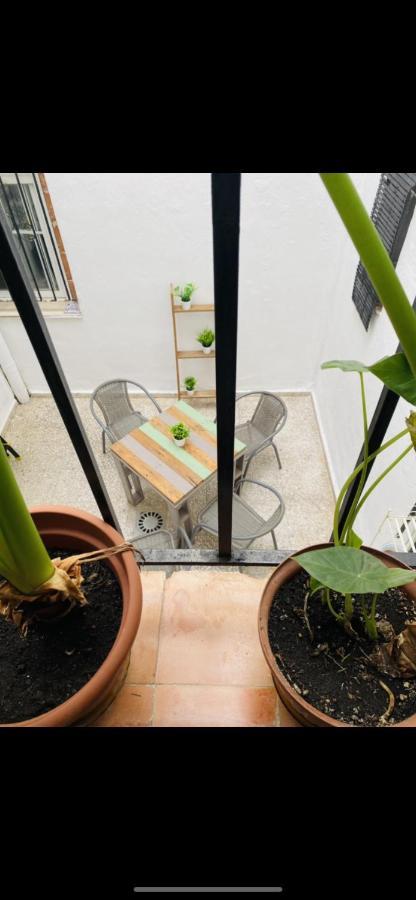 Apartamento San Eloy Con Patio Privado Córdoba Eksteriør billede